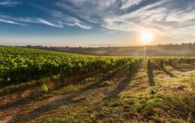 clouds_countryside_daylight_51947.jpg