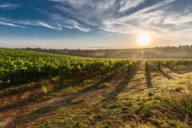 clouds_countryside_daylight_51947.jpg